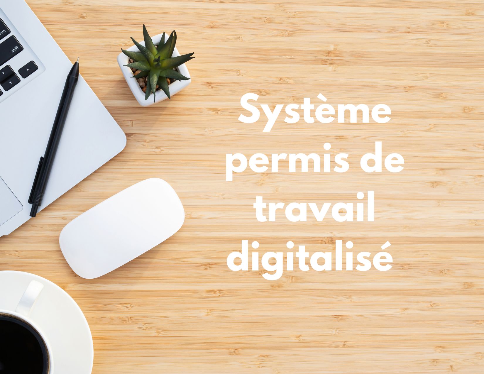 Système Permis De Travail Digitalisé (e-Work Permit System) - Softyflow