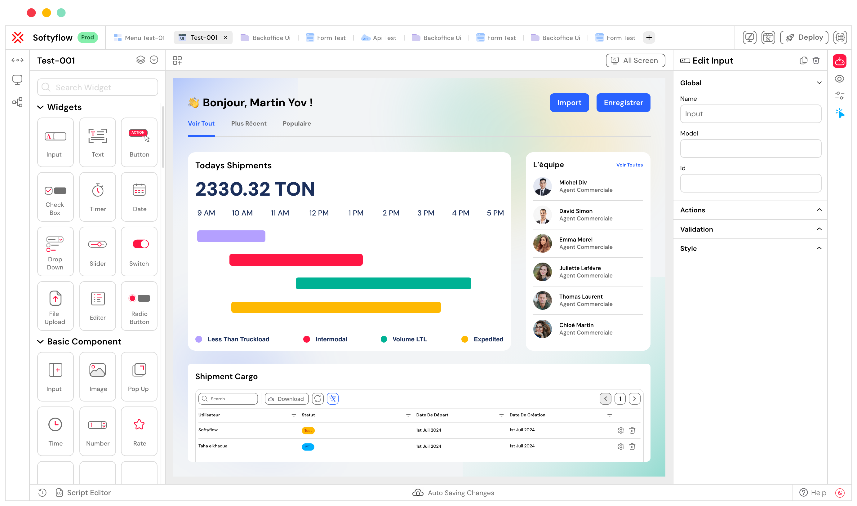 cargo softyflow interface